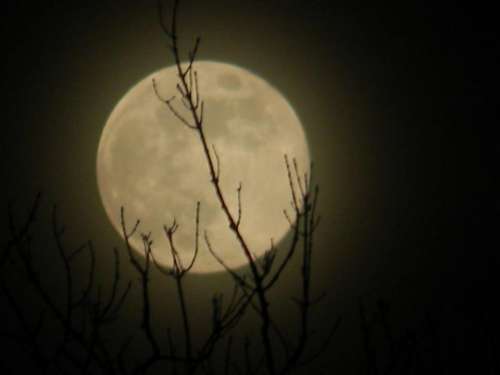 full moon lunar moon night