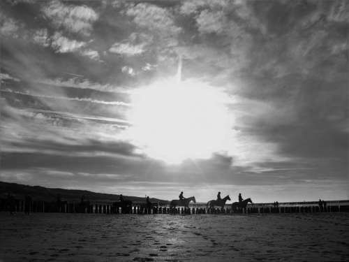 beach horse horses horesebackriding sunset