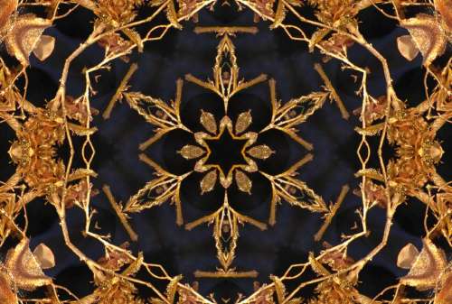kaleidoscope symmetry repetition pattern design