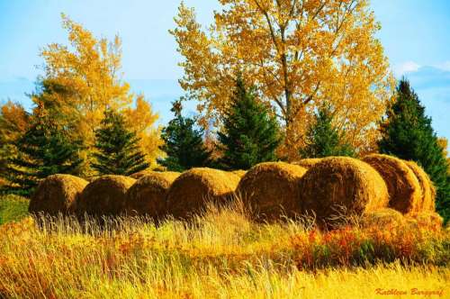 Hay country Autumn 