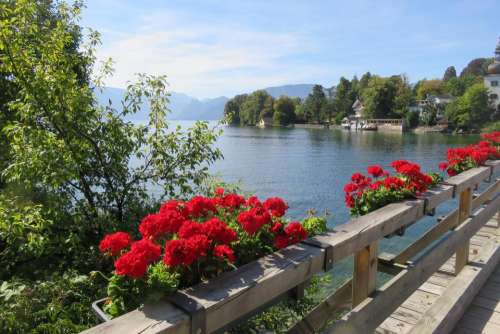 Hallstadt Austria lake fence geraniums
