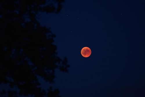 Moon blood moon lunar eclipse night sky celestial