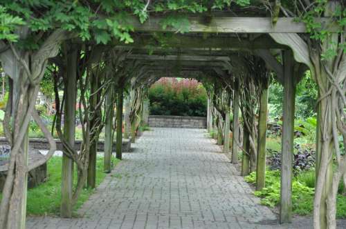 arbor garden 