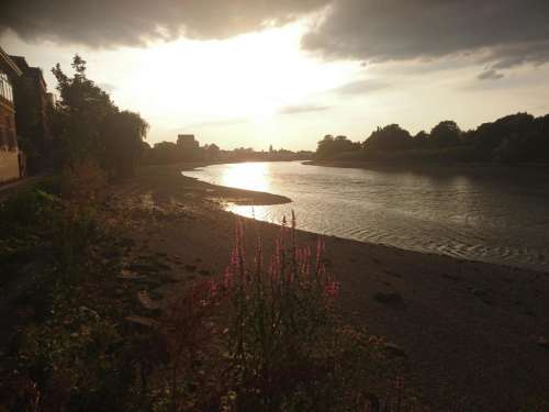 Barnes Thames river sunset flowers