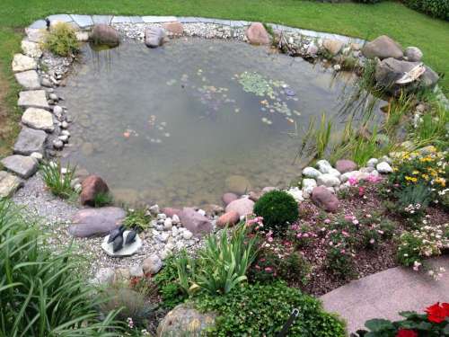 pond garden