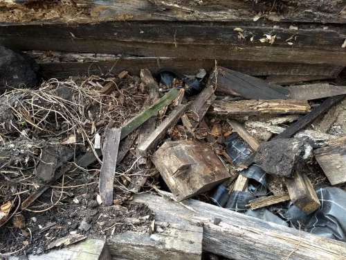 dry rot wood skip bin dumpster