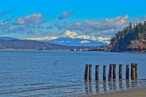 Mt Baker snowy mountains snow capped ocean pilings