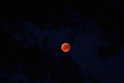 Moon blood moon lunar eclipse night sky celestial