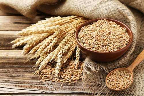 Wheat grain food cooking 