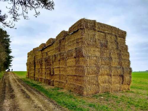 bales stack hay wall agriculture