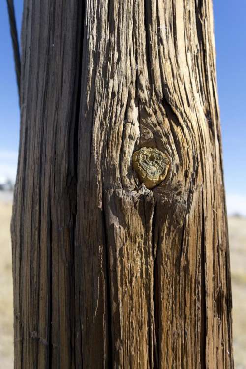 texture pole electric pole wood