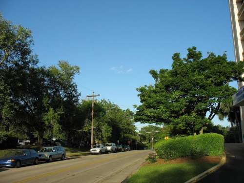 Road street cars neighborhood suburbs