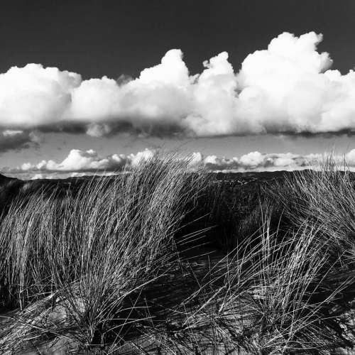 Black and White Landscape  photography Sand Dunes Beach 