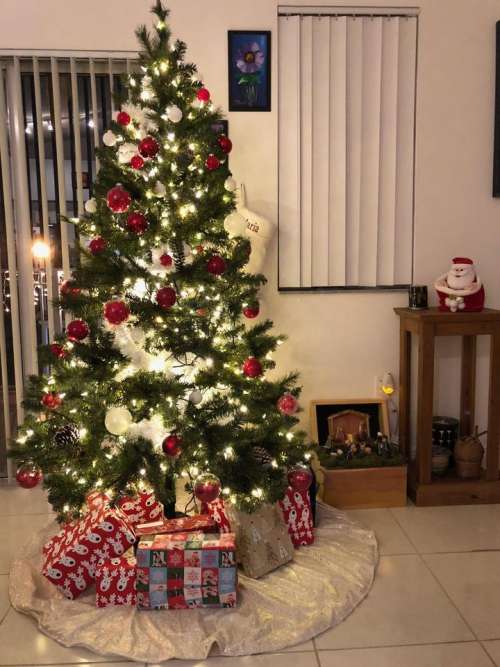 Christmas tree  