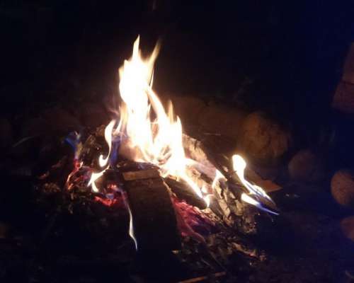 fire burning wood flames evening