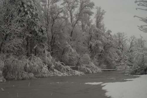 winter snow lake ice trees