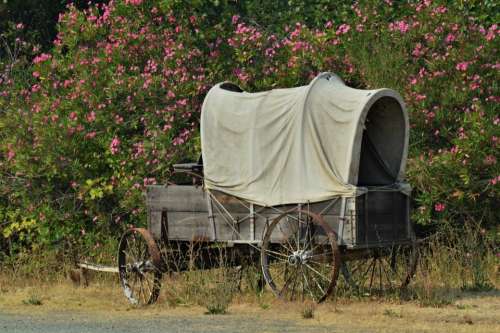 covered wagon transportation pioneer