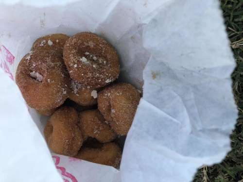 donuts fresh donuts mini donuts cinnamon donuts donut