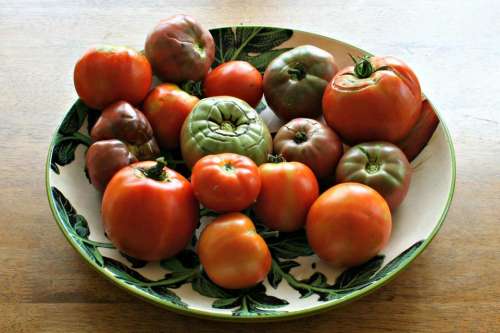 organic tomatoes tomatoes tomato varieties garden gardening