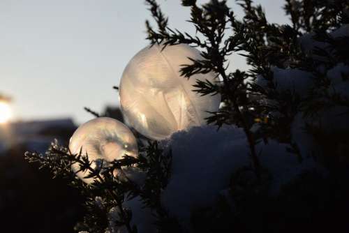 Soap bubbles frozen cold ice winter
