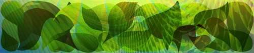 computer graphics vector graphic drawing leaves green