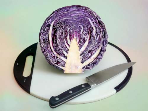 cabbage red cabbage vegetable cut chop
