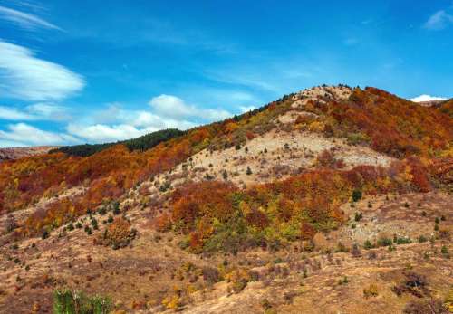 autumn mountain peak dishonesty trees