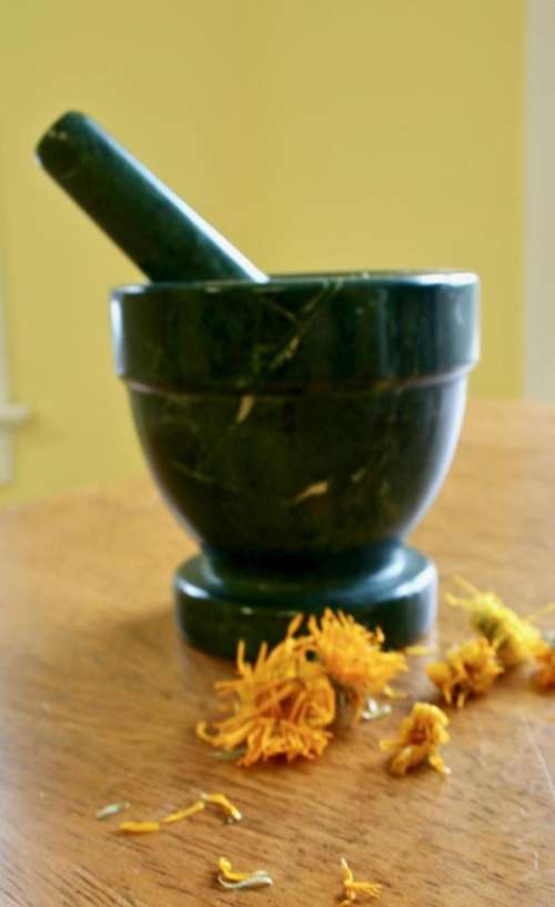 herbal medicine herbs alternative medicine calendula healing