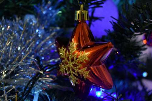 Christmas ornament tree holiday. decorative season