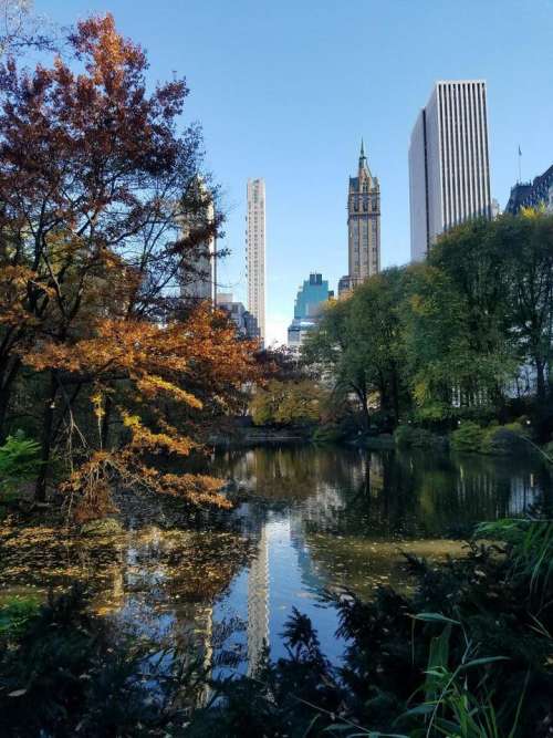 Central Park New York City new York   Manhattan park