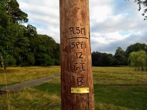 telegraph pole electricity pole markings wood utility