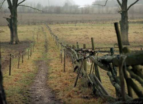 autumn fence drizzle