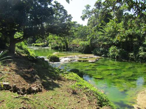 Vanuatu falls stream water algae 