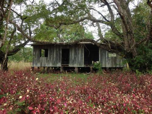 house australia abandoned cabin