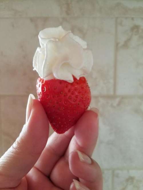 strawberry strawberries whipped cream whipped topping fruit
