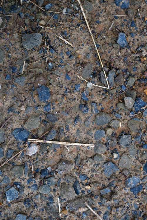 ground texture dirt twigs stones
