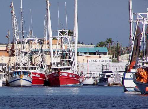 boats harbor nautical