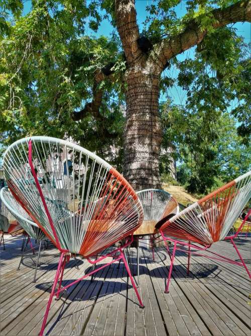 summer louning lounge chair tree