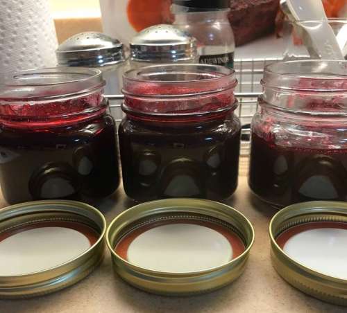Canning canned jam jelly preserves
