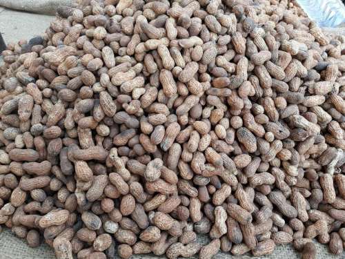 Nepal Peanuts legumes food