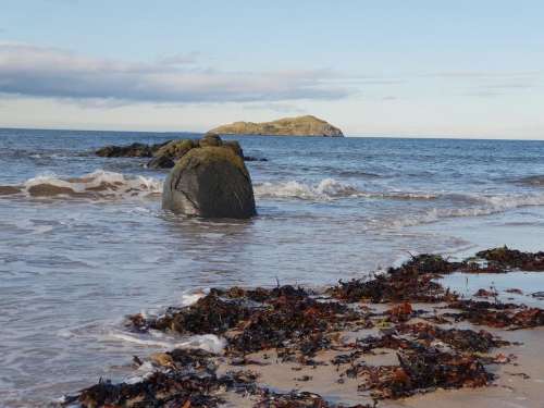 beach  rock  sea  seaweed  waves