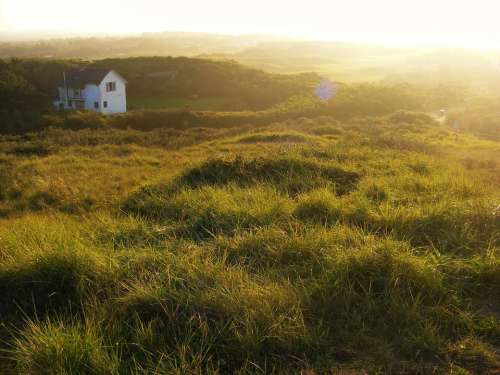 grass field green house sunset