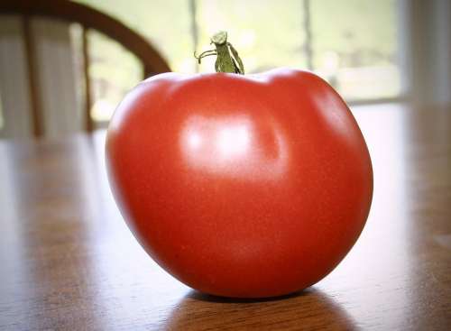 tomato organic tomato organic vegetable healthy eating tomatoes