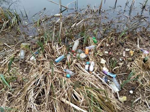 plastic pollution jetsam river bottles