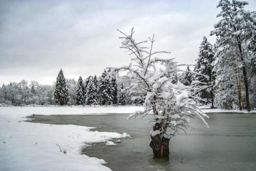 lake ice winter snow nature