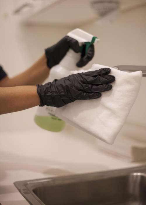 gloves cleaning work sanitary germs