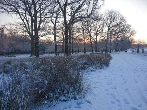 snow winter sunrise London nature