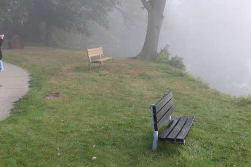 #benches #lake #fog
