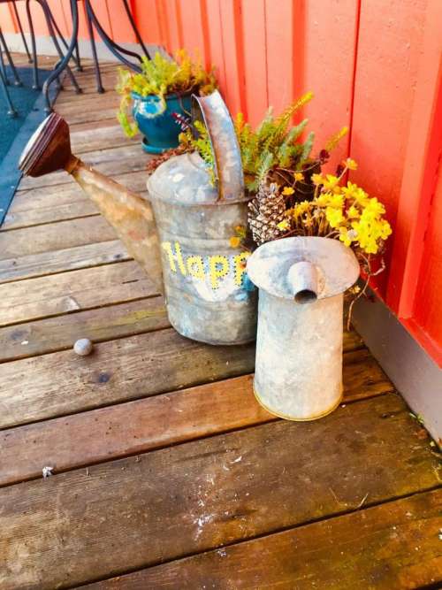 flowers display watering can garden  