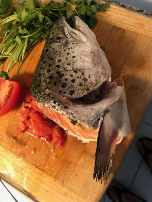 Fish cooking salmon 